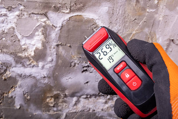 Best Water Damage Restoration  in Davis, OK