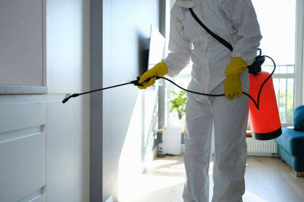 Crawl Space Mold Removal in Davis, OK