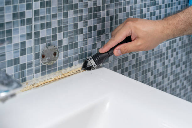 Best Black Mold Removal  in Davis, OK