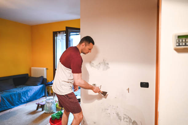 Best Commercial Mold Removal  in Davis, OK