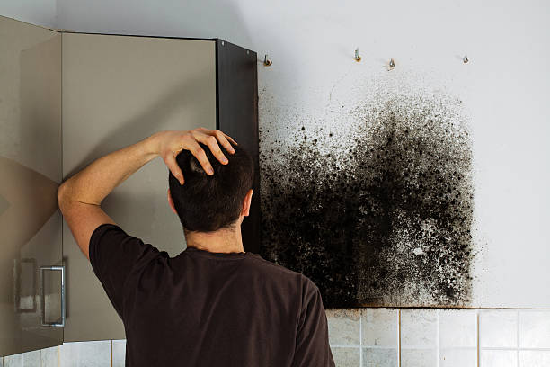 Best Mold Testing  in Davis, OK